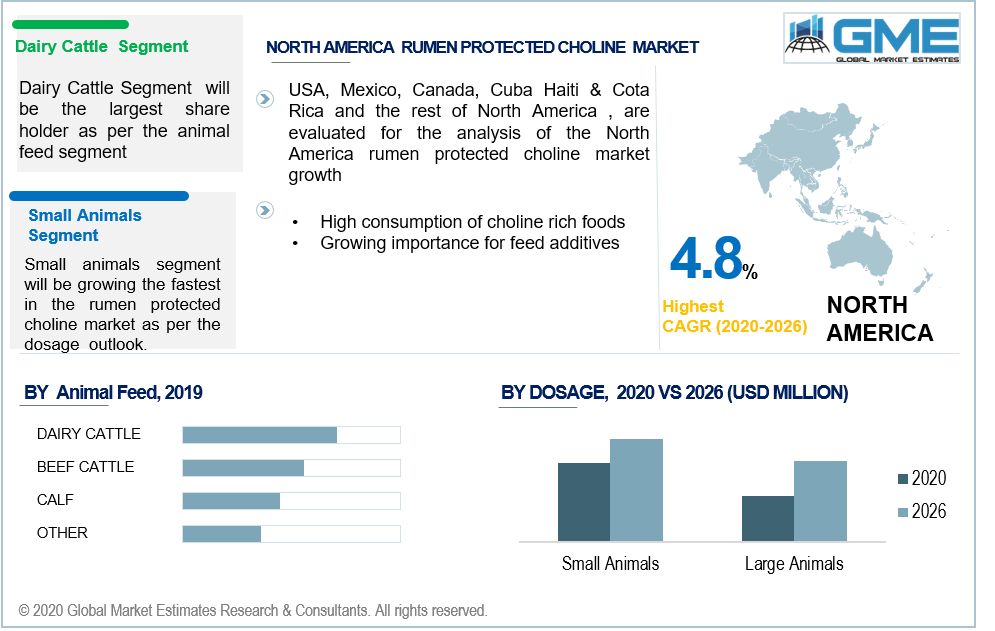 Rumen Protected Choline Market